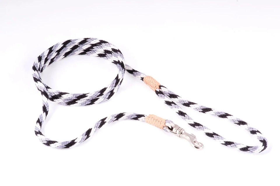 Nylon Snap Leads (4 ft x 1/4 in or 6 mm) - Pets Perfect