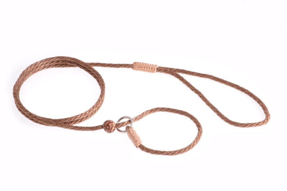 Nylon Slip Lead With Stopper (4 ft x 1/8 in or 4 mm) - Pets Perfect