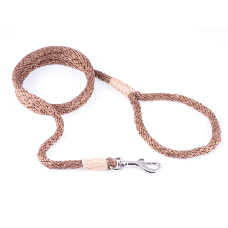 Nylon Snap Leads (4 ft x 1/8 in or 4 mm) - Pets Perfect