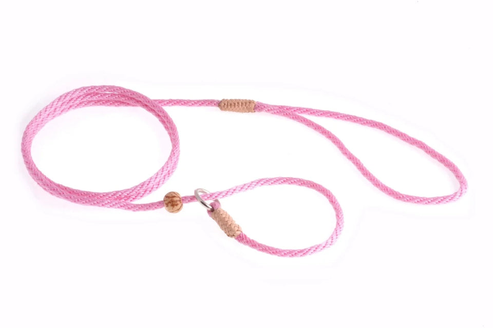 Nylon Slip Lead With Stopper (4 ft x 1/8 in or 4 mm) - Pets Perfect