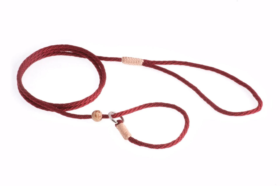 Nylon Slip Lead With Stopper (4 ft x 1/8 in or 4 mm) - Pets Perfect