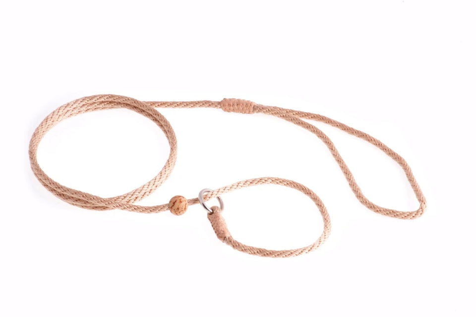 Nylon Slip Lead With Stopper (4 ft x 1/8 in or 4 mm) - Pets Perfect