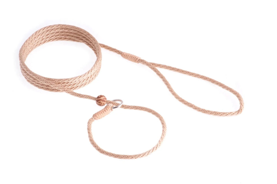 Nylon Slip Lead With Stopper (6 ft x 1/8 in or 4 mm) - Pets Perfect
