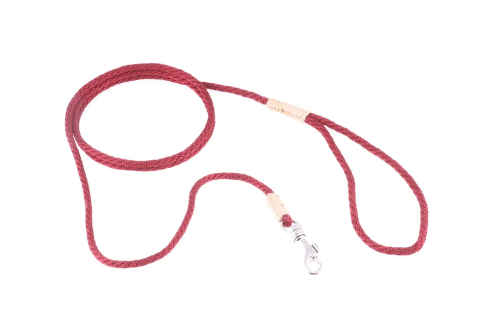 Nylon Snap Leads (4 ft x 1/8 in or 4 mm) - Pets Perfect