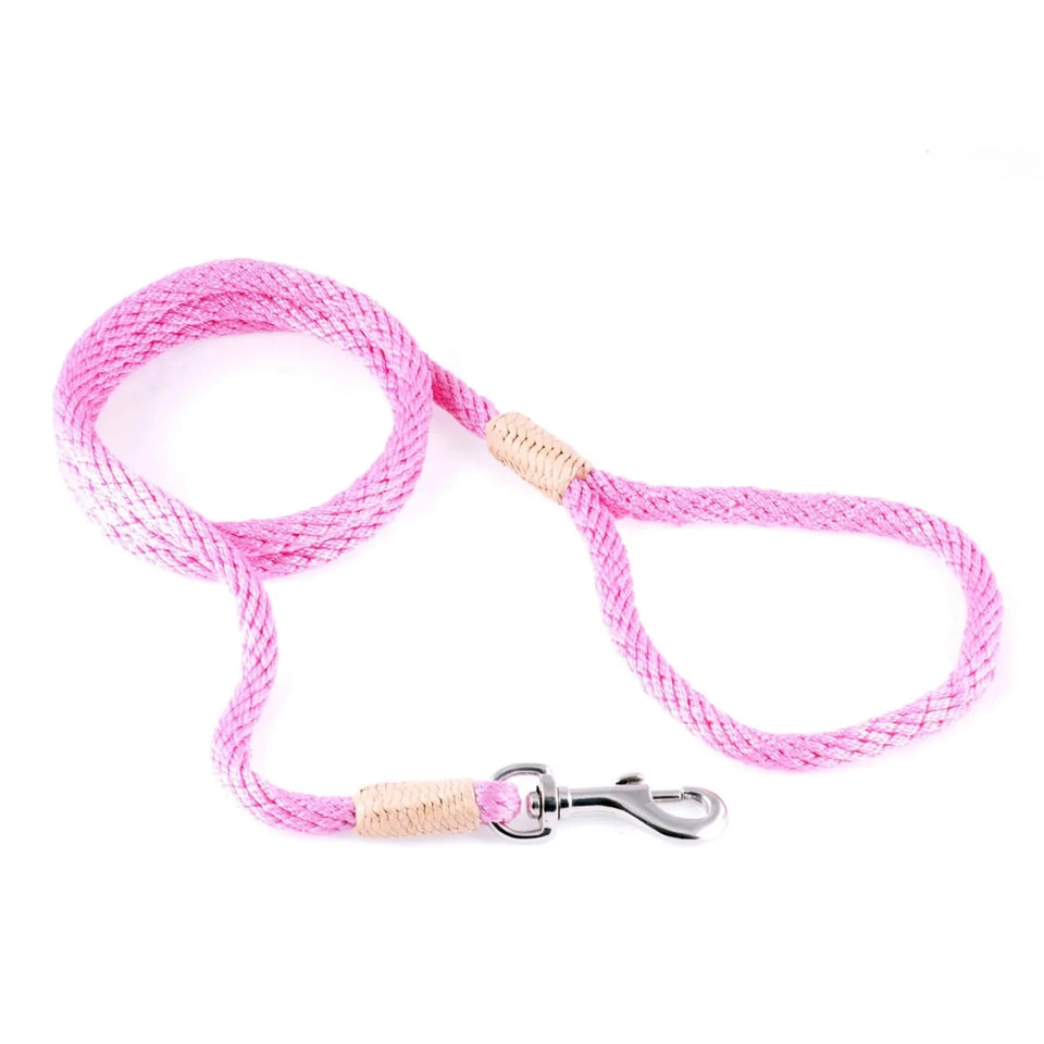 Nylon Snap Leads (6 ft x 1/8 in or 4 mm) - Pets Perfect