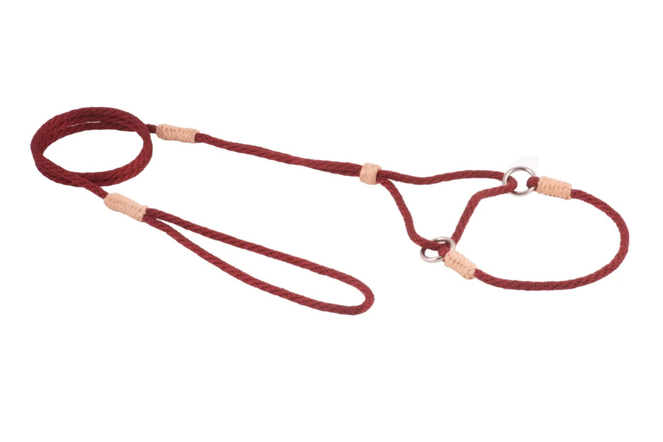 Nylon Martingale Leads (8 in x 1/8 in or 4 mm) - Pets Perfect
