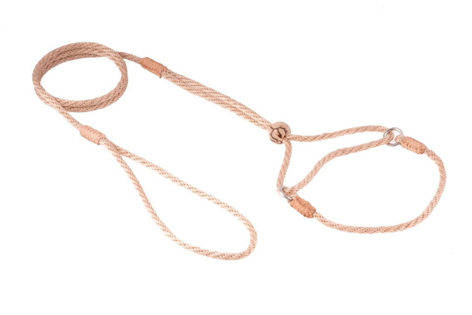 Nylon Martingale Leads (8 in x 1/8 in or 4 mm) - Pets Perfect
