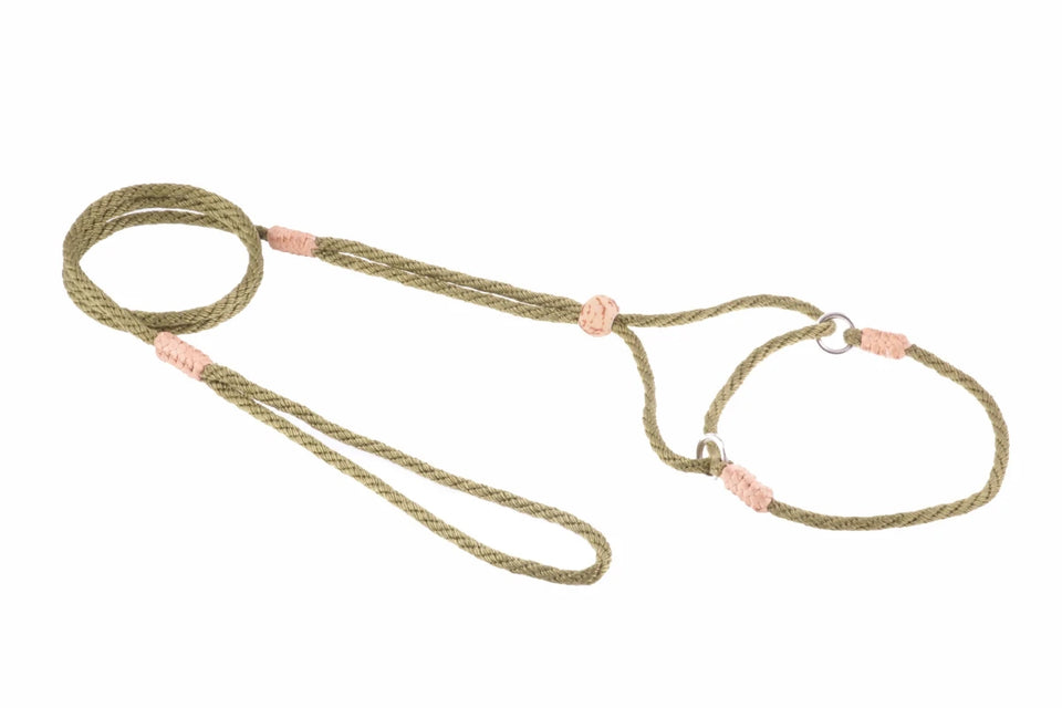 Nylon Martingale Leads (8 in x 1/8 in or 4 mm) - Pets Perfect