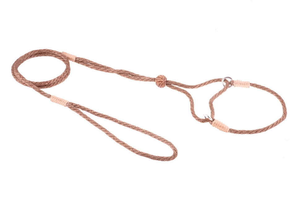 Nylon Martingale Leads (8 in x 1/8 in or 4 mm) - Pets Perfect