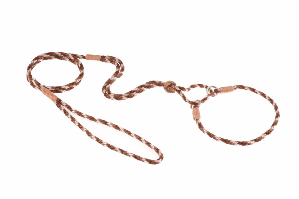 Nylon Martingale Leads (10 in x 1/8 in or 4 mm) - Pets Perfect