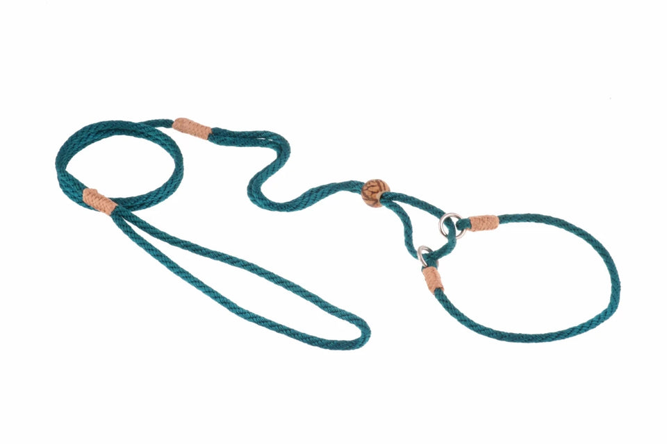 Nylon Martingale Leads (10 in x 1/8 in or 4 mm) - Pets Perfect