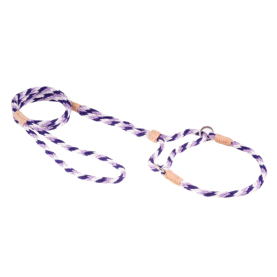 Nylon Martingale Leads (10 in x 1/4 in or 6 mm) - Pets Perfect