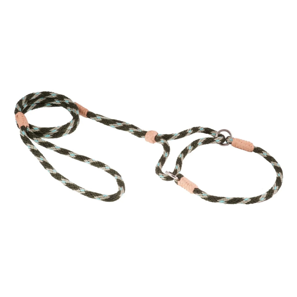 Nylon Martingale Leads (10 in x 1/4 in or 6 mm) - Pets Perfect