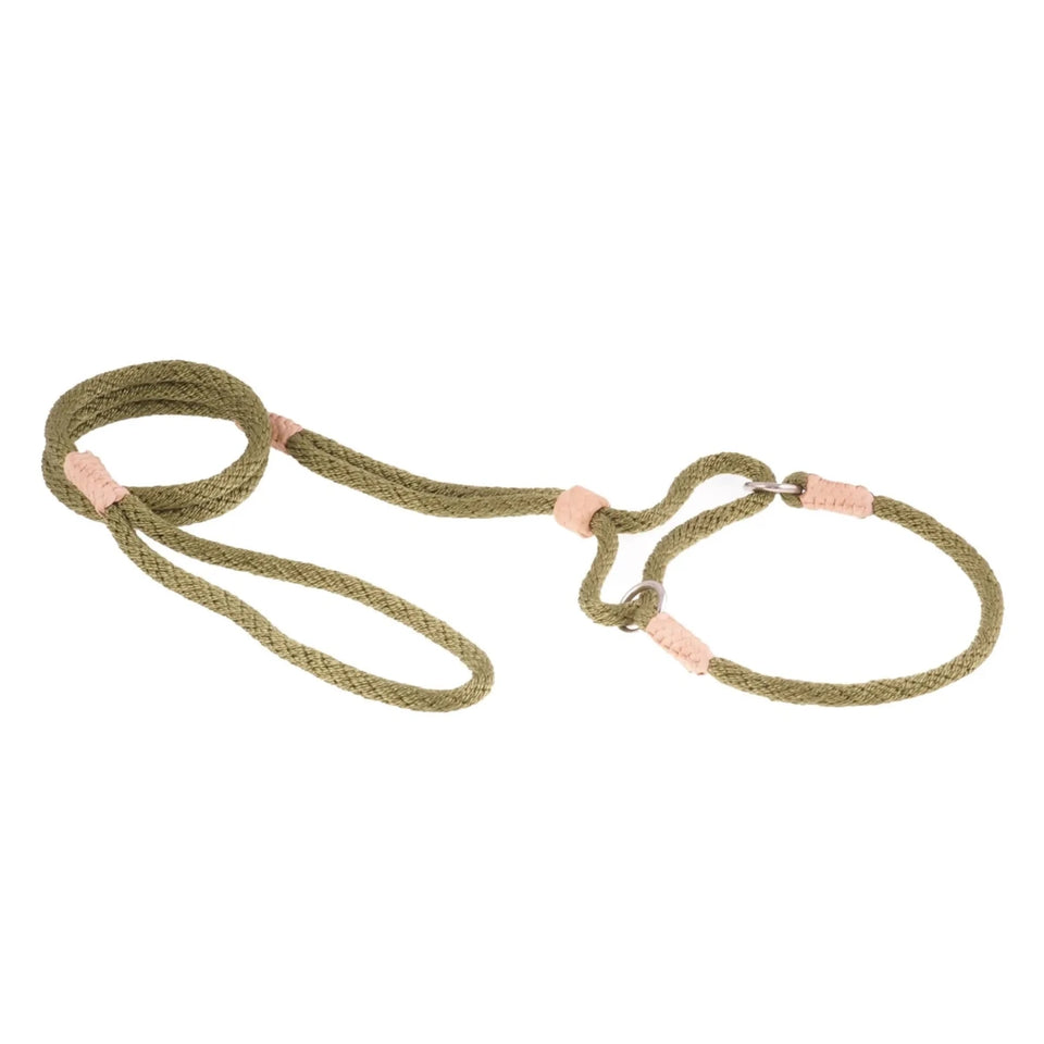 Nylon Martingale Leads (10 in x 1/4 in or 6 mm) - Pets Perfect