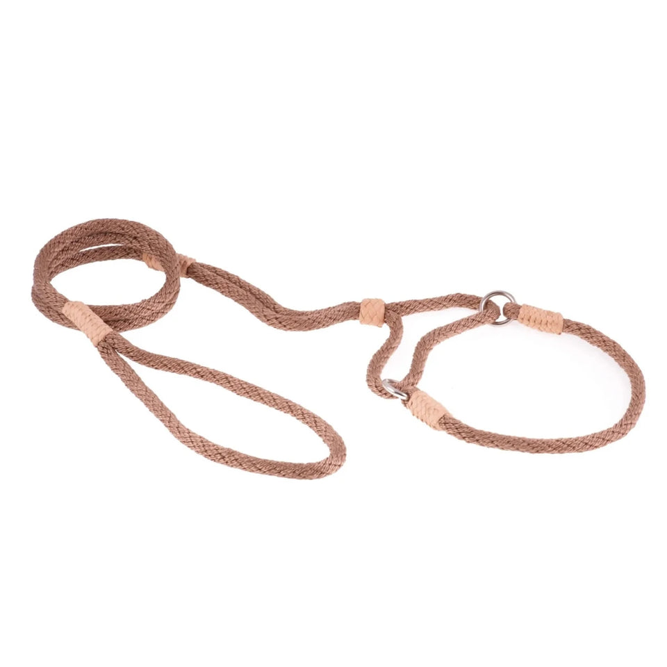 Nylon Martingale Leads (10 in x 1/4 in or 6 mm) - Pets Perfect