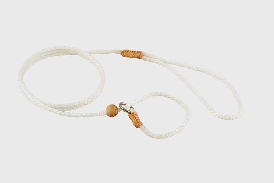 Nylon Slip Lead With Stopper (4 ft x 1/8 in or 4 mm) - Pets Perfect