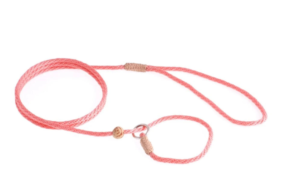 Nylon Slip Lead With Stopper (4 ft x 1/8 in or 4 mm) - Pets Perfect
