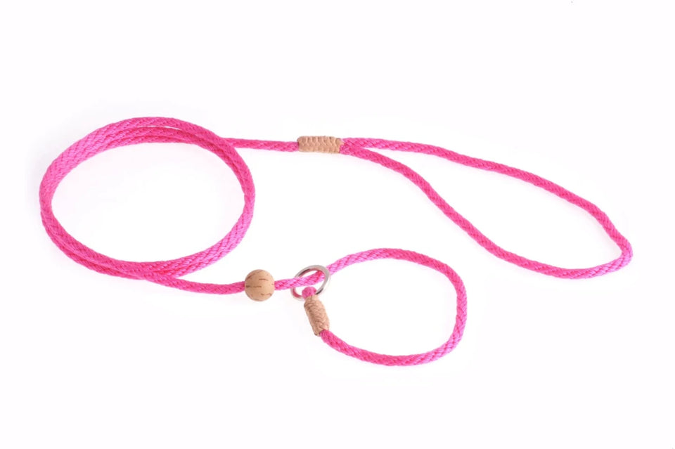 Nylon Slip Lead With Stopper (4 ft x 1/8 in or 4 mm) - Pets Perfect