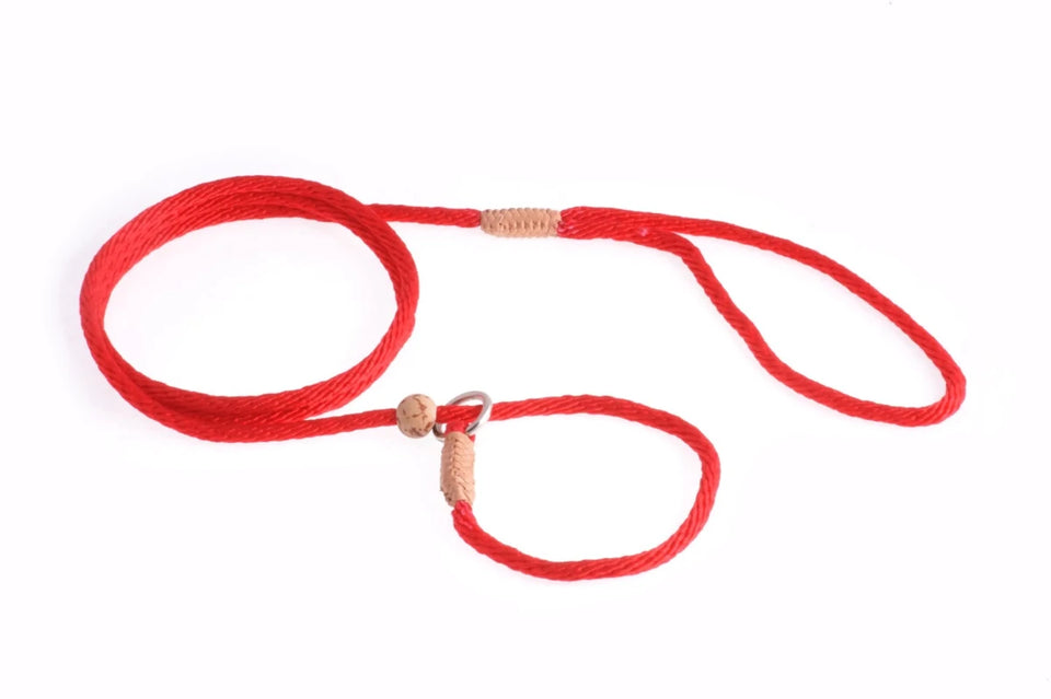 Nylon Slip Lead With Stopper (4 ft x 1/8 in or 4 mm) - Pets Perfect