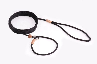 Nylon Slip Lead With Stopper (6 ft x 1/8 in or 4 mm) - Pets Perfect