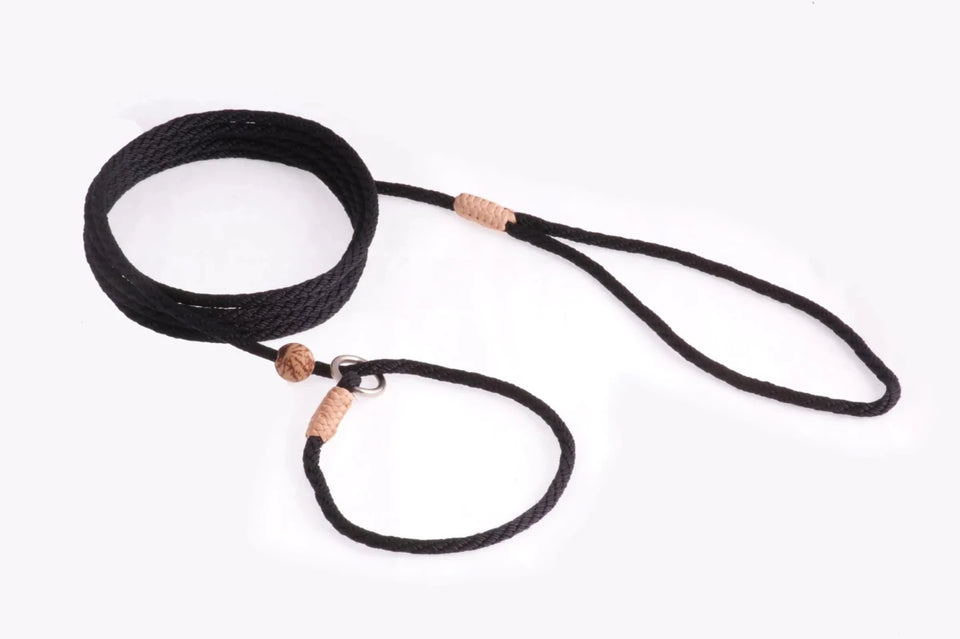 Nylon Slip Lead With Stopper (6 ft x 1/8 in or 4 mm) - Pets Perfect