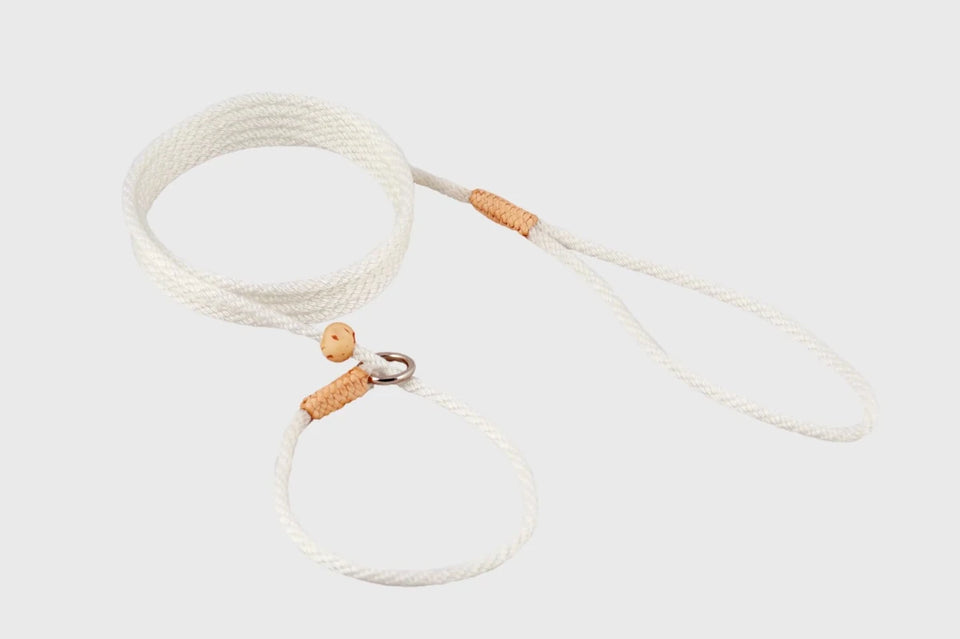 Nylon Slip Lead With Stopper (6 ft x 1/8 in or 4 mm) - Pets Perfect