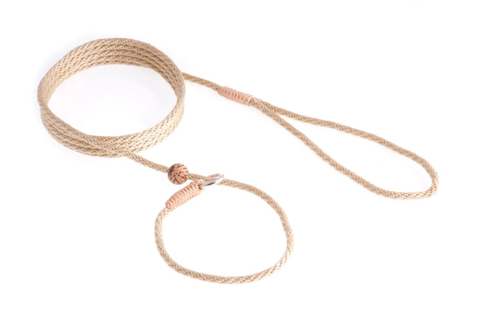 Nylon Slip Lead With Stopper (6 ft x 1/8 in or 4 mm) - Pets Perfect