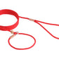 Nylon Slip Lead With Stopper (6 ft  x 1/8in or 4mm)