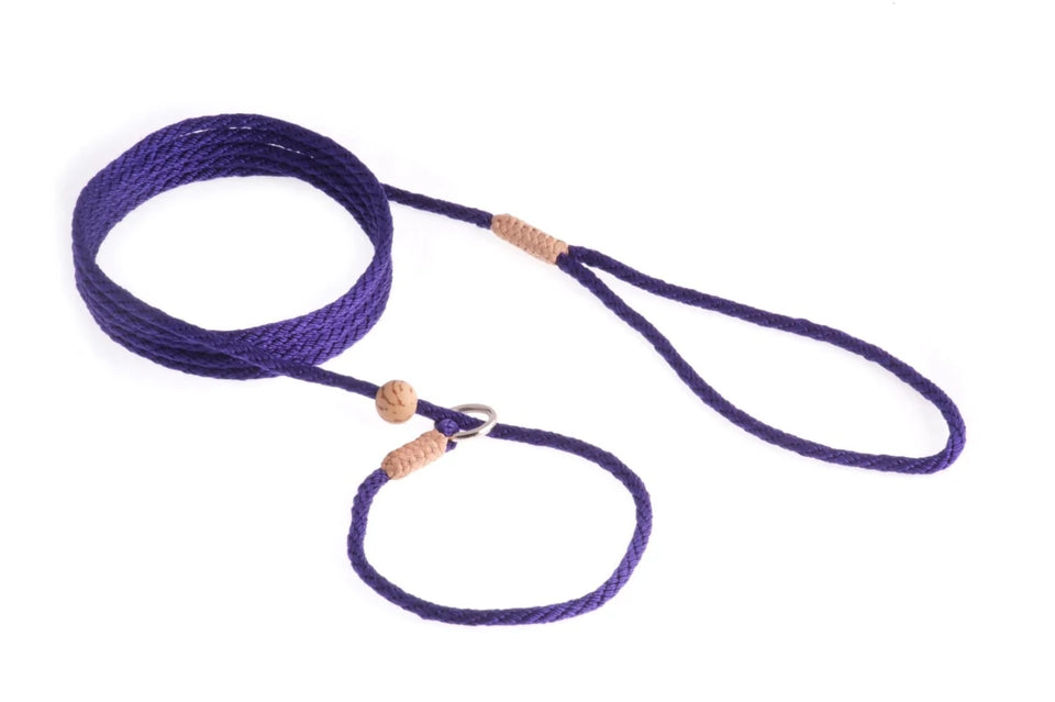 Nylon Slip Lead With Stopper (6 ft x 1/8 in or 4 mm) - Pets Perfect