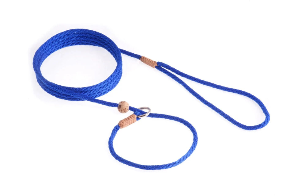Nylon Slip Lead With Stopper (6 ft x 1/8 in or 4 mm) - Pets Perfect