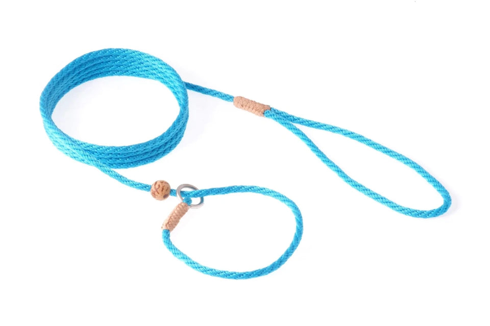 Nylon Slip Lead With Stopper (6 ft x 1/8 in or 4 mm) - Pets Perfect