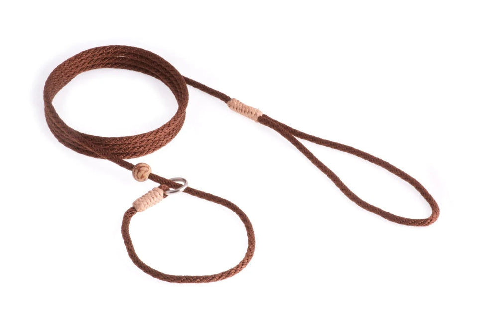 Nylon Slip Lead With Stopper (6 ft x 1/8 in or 4 mm) - Pets Perfect