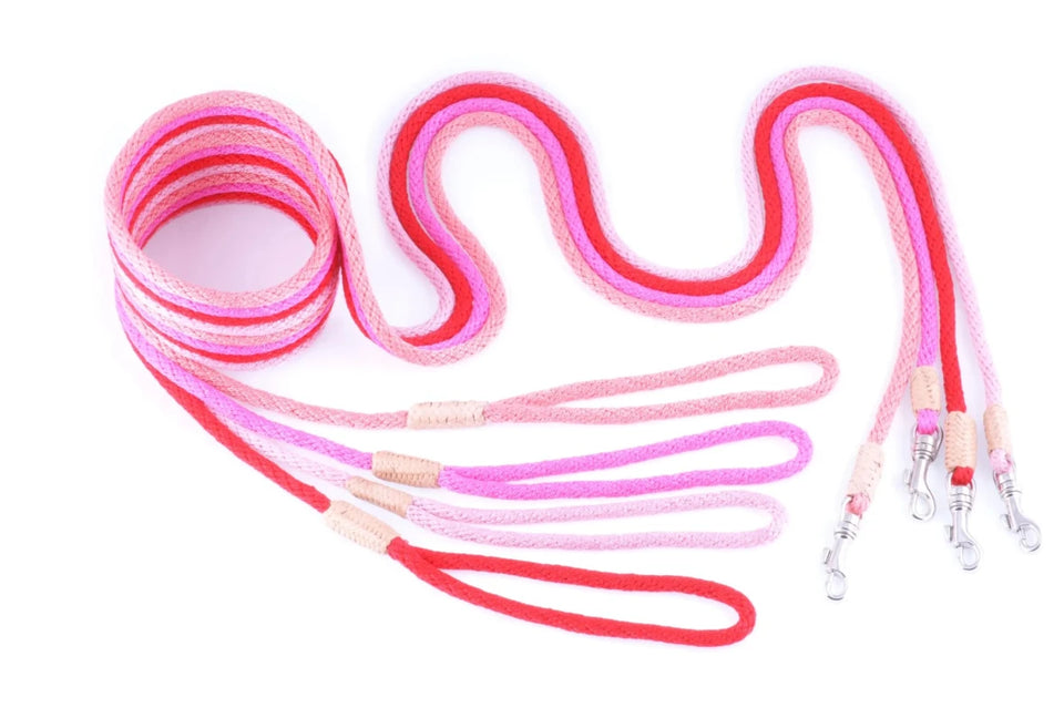 Nylon Snap Leads (4 ft x 1/8 in or 4 mm) - Pets Perfect