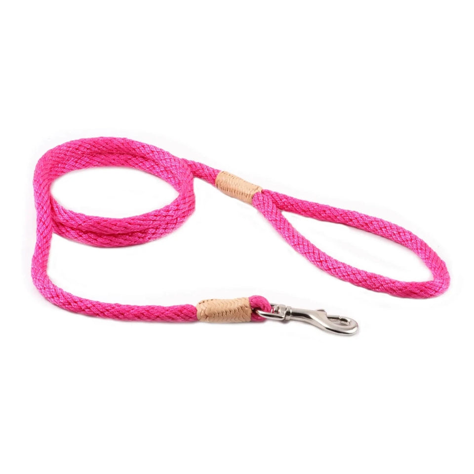 Nylon Snap Leads (4 ft x 1/8 in or 4 mm) - Pets Perfect