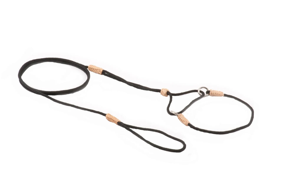 Nylon Martingale Leads (8 in x 1/16 or 2 mm) - Pets Perfect