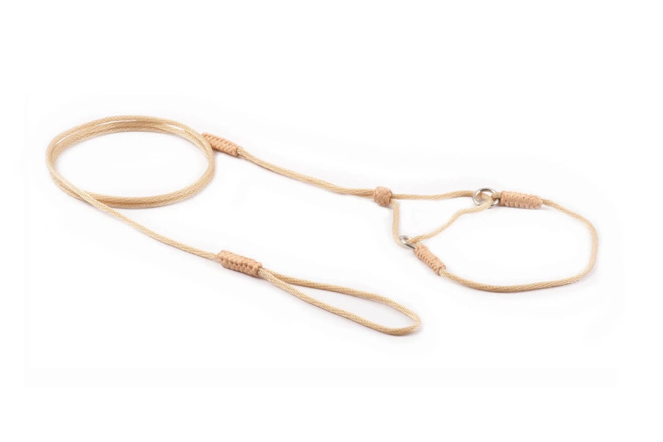 Nylon Martingale Leads (8 in x 1/16 or 2 mm) - Pets Perfect