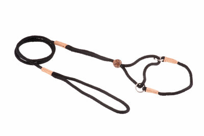 Nylon Martingale Leads (8 in x 1/8 in or 4 mm) - Pets Perfect