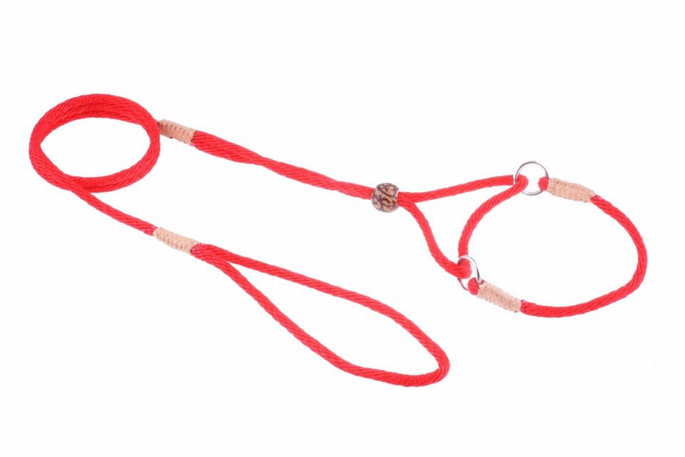 Nylon Martingale Leads (8 in x 1/8 in or 4 mm) - Pets Perfect
