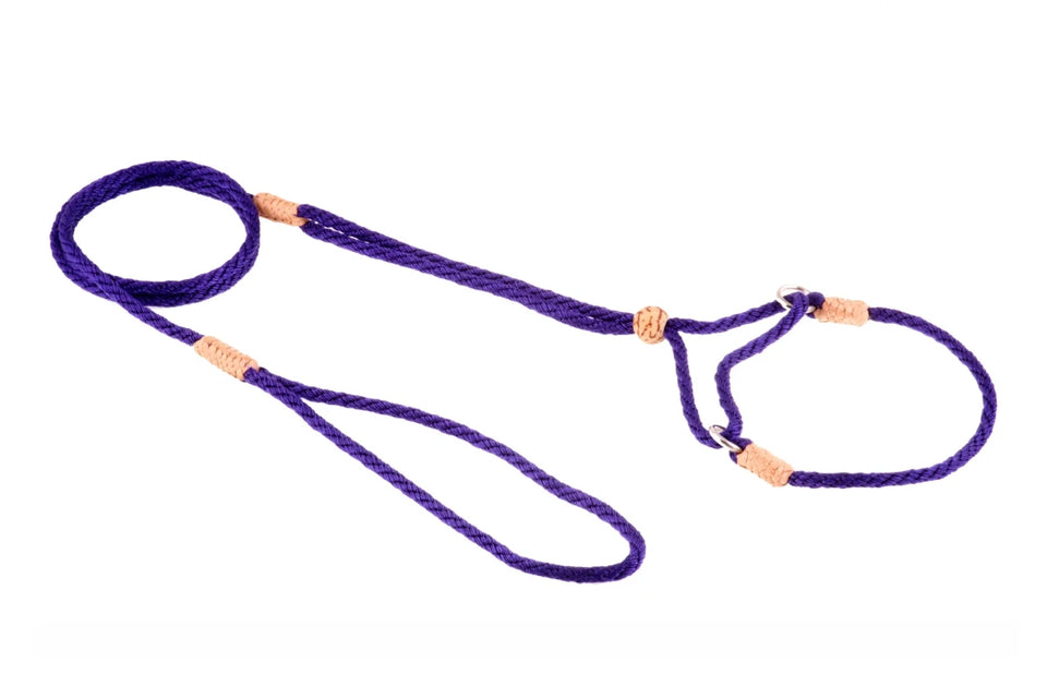 Nylon Martingale Leads (8 in x 1/8 in or 4 mm) - Pets Perfect
