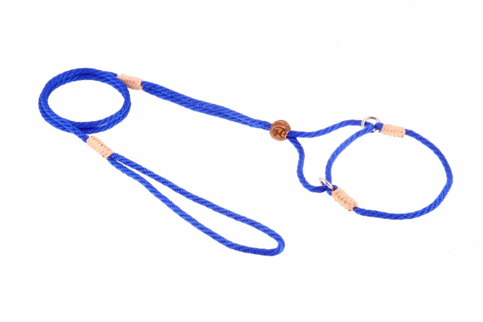 Nylon Martingale Leads (8 in x 1/8 in or 4 mm) - Pets Perfect
