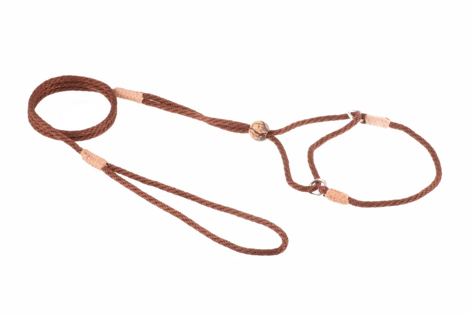 Nylon Martingale Leads (8 in x 1/8 in or 4 mm) - Pets Perfect