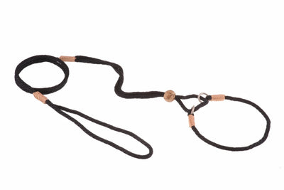 Nylon Martingale Leads (10 in x 1/8 in or 4 mm) - Pets Perfect