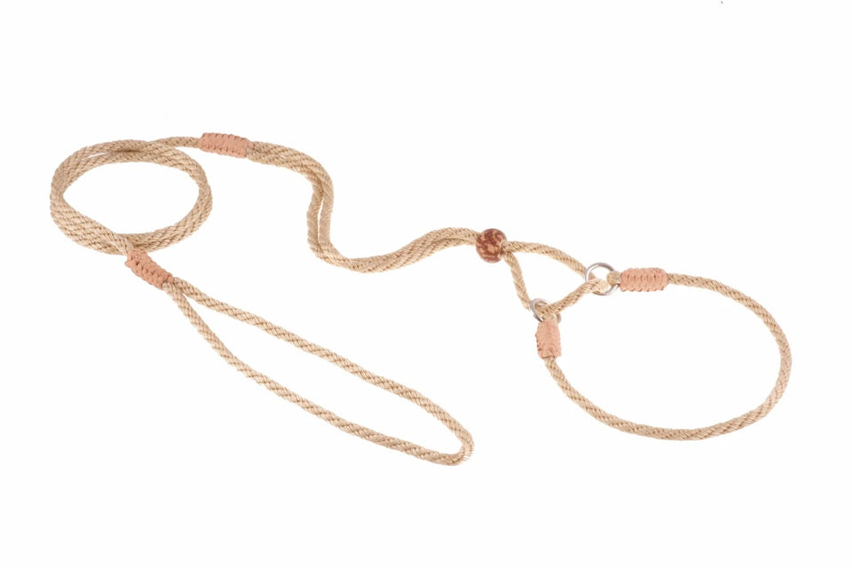 Nylon Martingale Leads (10 in x 1/8 in or 4 mm) - Pets Perfect