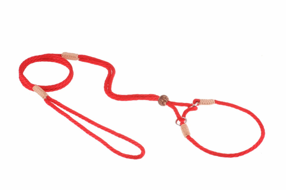 Nylon Martingale Leads (10 in x 1/8 in or 4 mm) - Pets Perfect