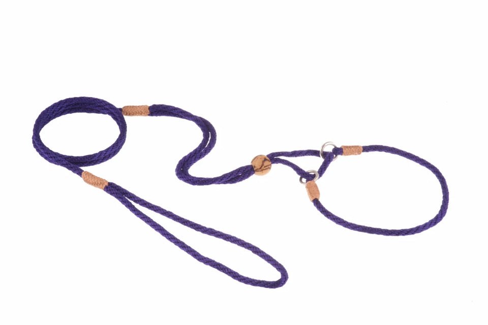 Nylon Martingale Leads (10 in x 1/8 in or 4 mm) - Pets Perfect