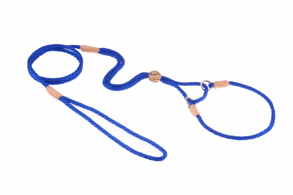 Nylon Martingale Leads (10 in x 1/8 in or 4 mm) - Pets Perfect