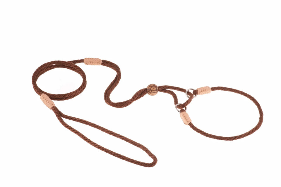 Nylon Martingale Leads (10 in x 1/8 in or 4 mm) - Pets Perfect