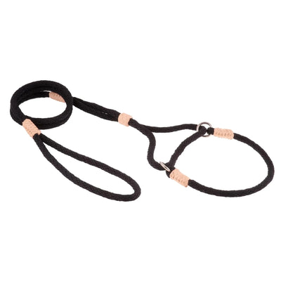 Nylon Martingale Leads (10 in x 1/4 in or 6 mm) - Pets Perfect