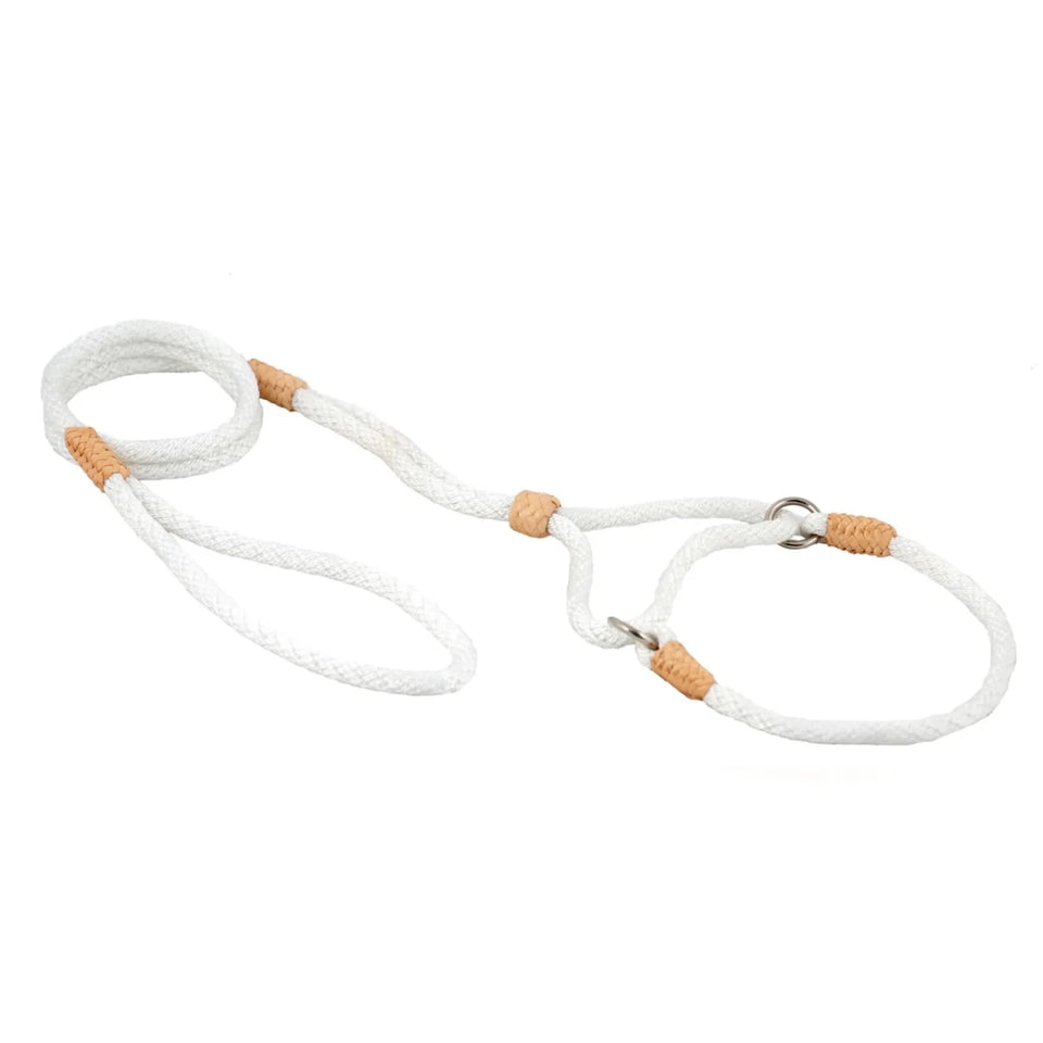 Nylon Martingale Leads (10 in x 1/4 in or 6 mm) - Pets Perfect