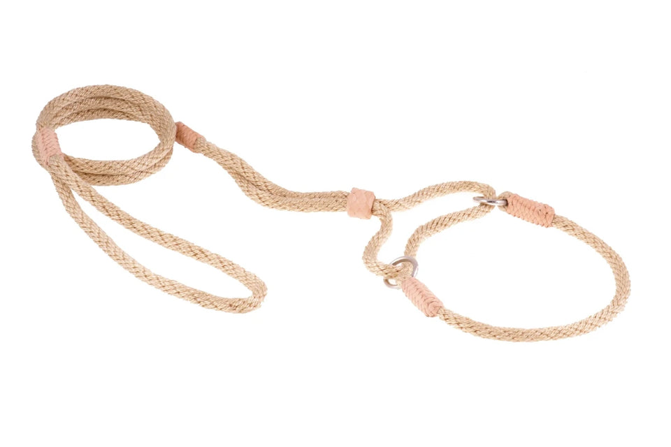 Nylon Martingale Leads (10 in x 1/4 in or 6 mm) - Pets Perfect